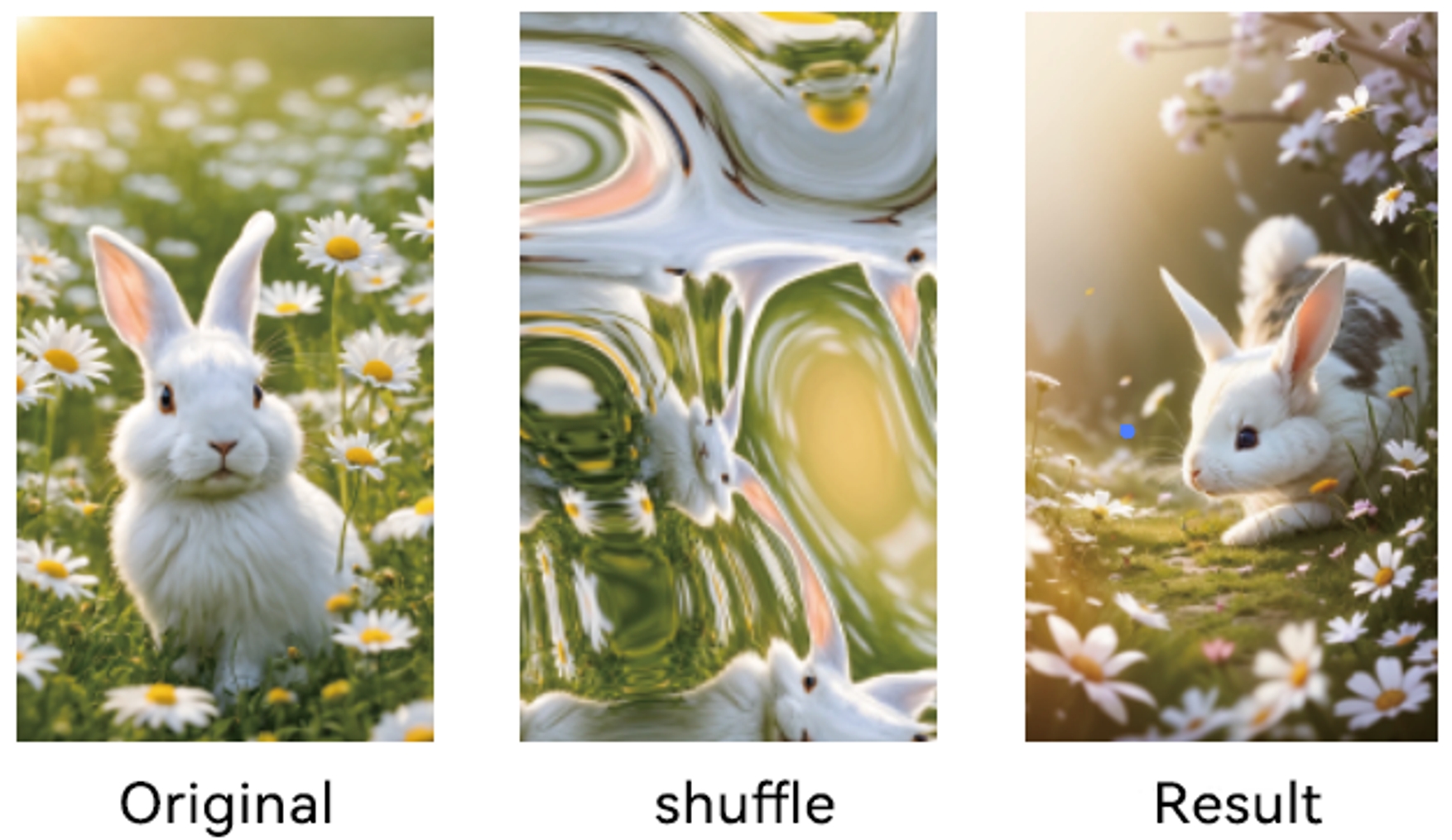Comparison of original vs shuffle vs result