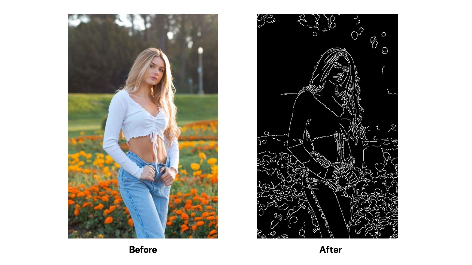 Before and after comparison of turning image into sketch style